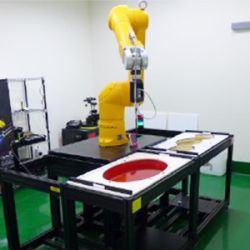 FCC Workshop 正式公告，FCC 可以接受IEC 62209-1 测试要求