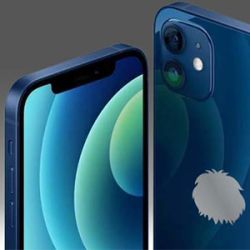About France’s random test of iPhone 12